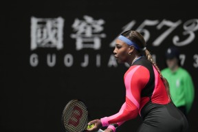 ng体育入口 科维托娃最高排名 